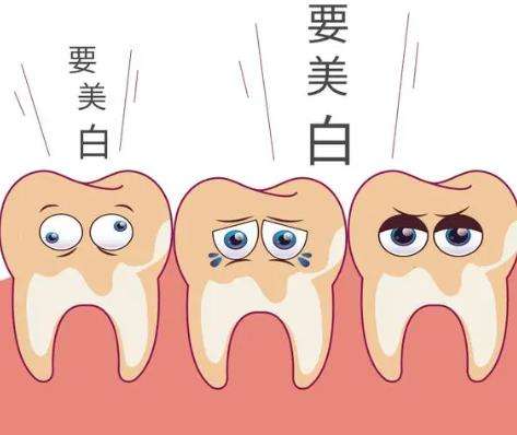 瓷贴面和全瓷牙冠哪个更好一点？两者有什么区别？