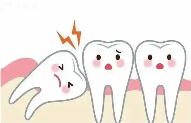 长智齿就必须要拔掉吗？智齿拔除后需要注意什么？