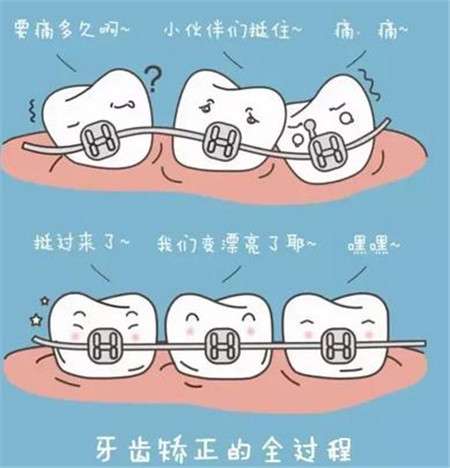 成年人如何保障牙齿健康？